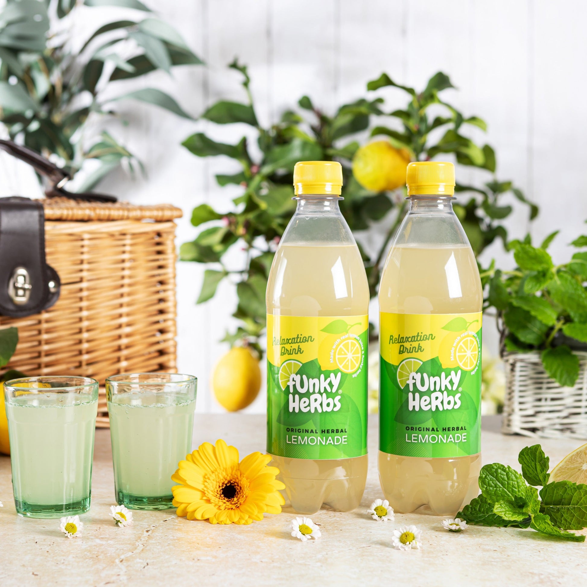 Botanical Lemonade Summer Picnic